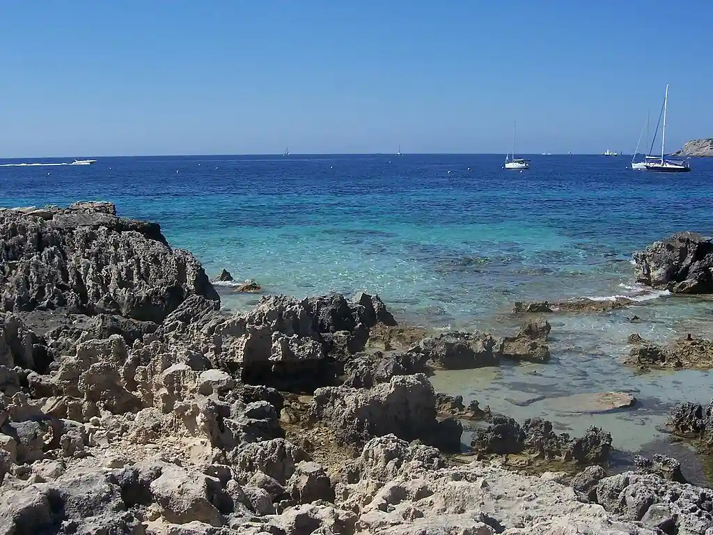 Imagen de la Playa de Ses Salines