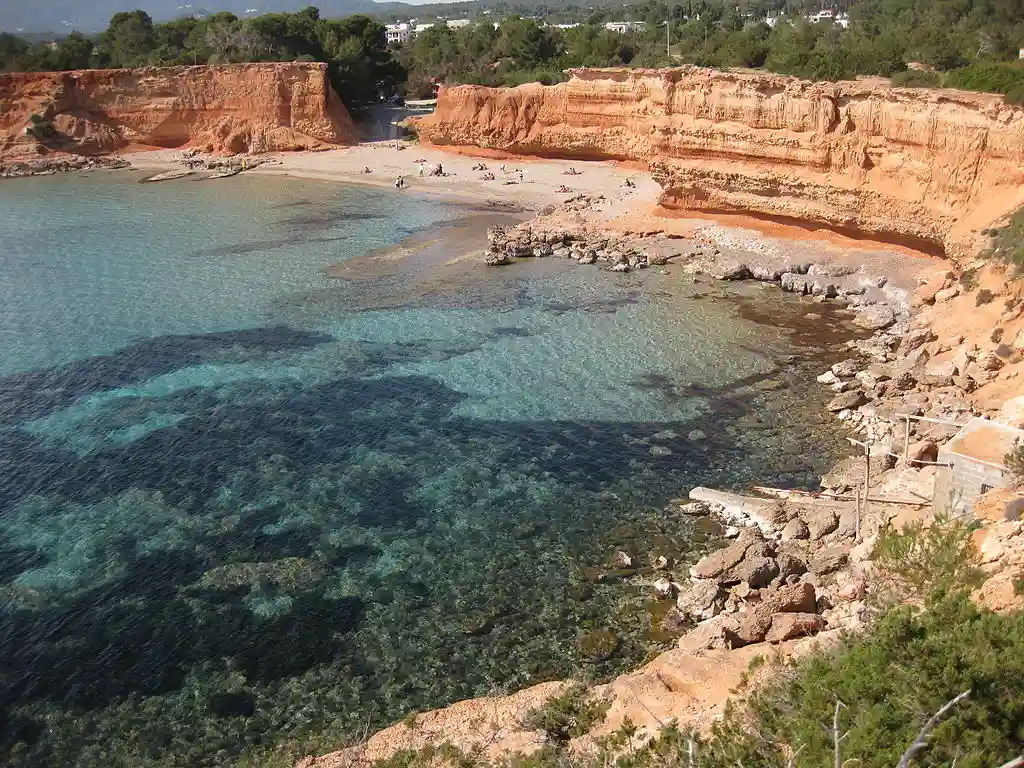 Imagen de la Playa de Ses Salines